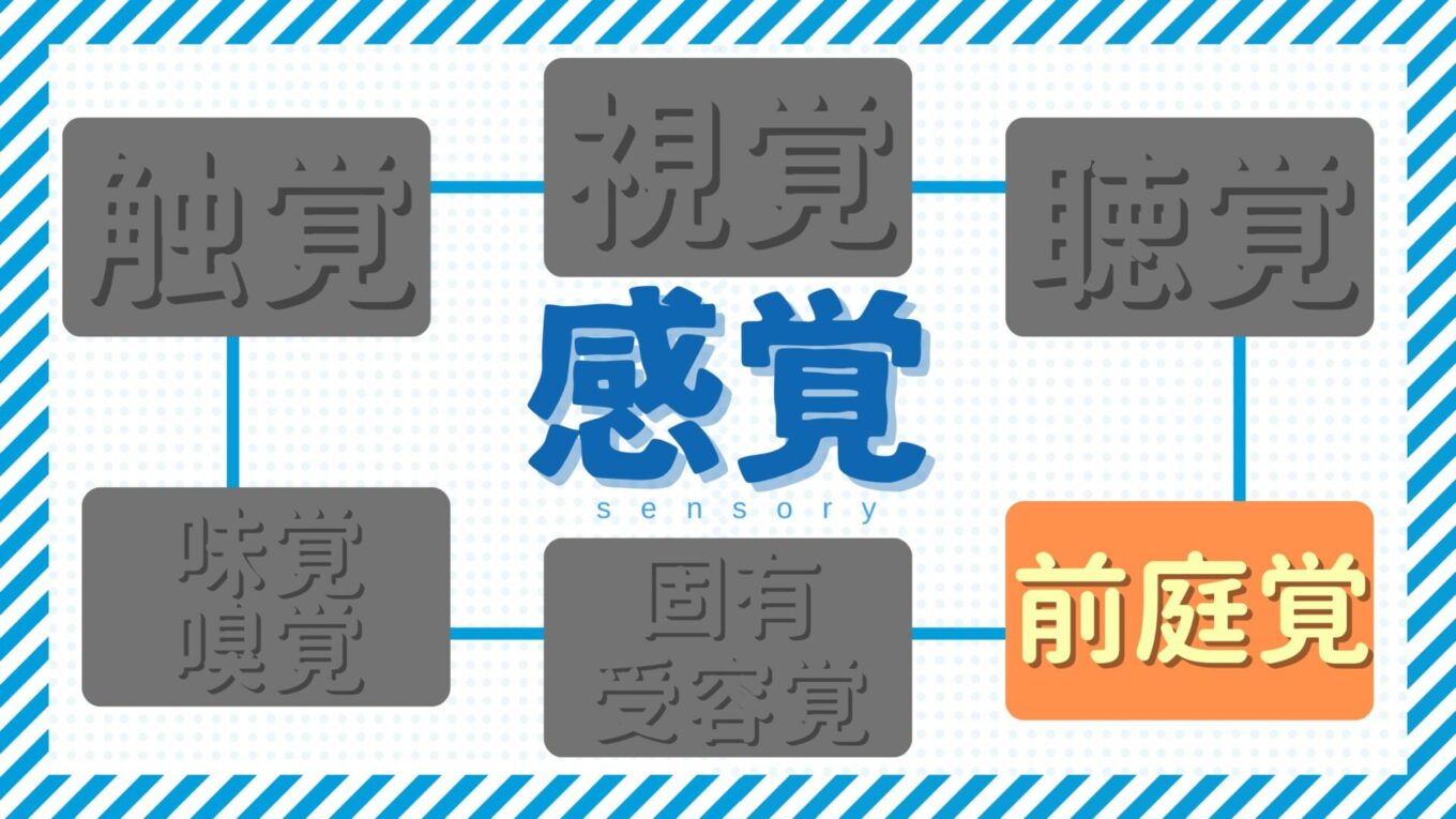【感覚統合療法の基礎】 『前庭覚』って何？前庭覚の役割を解説｜療育の引き出し