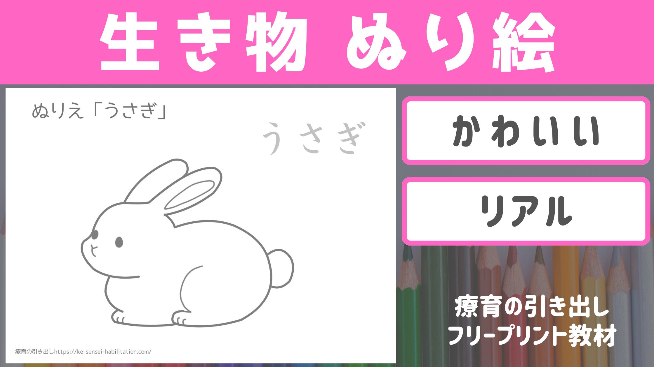 【フリープリント】 ぬり絵 生き物