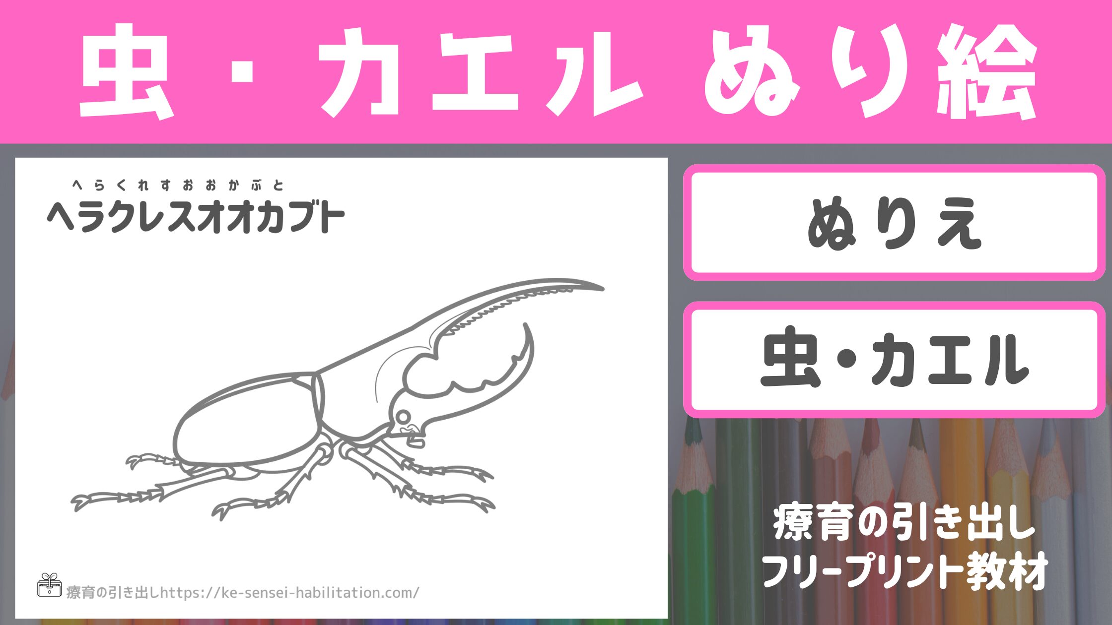 【ぬり絵】 虫・カエルのぬりえ