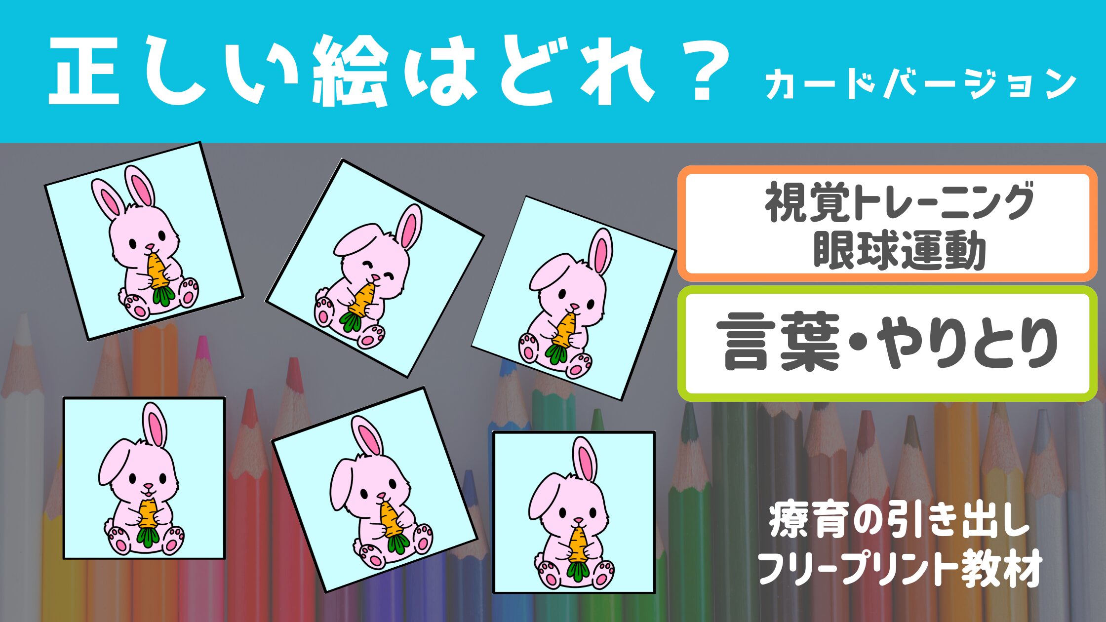 【ビジョントレーニング】 正しい絵はどれ？ カードバージョン