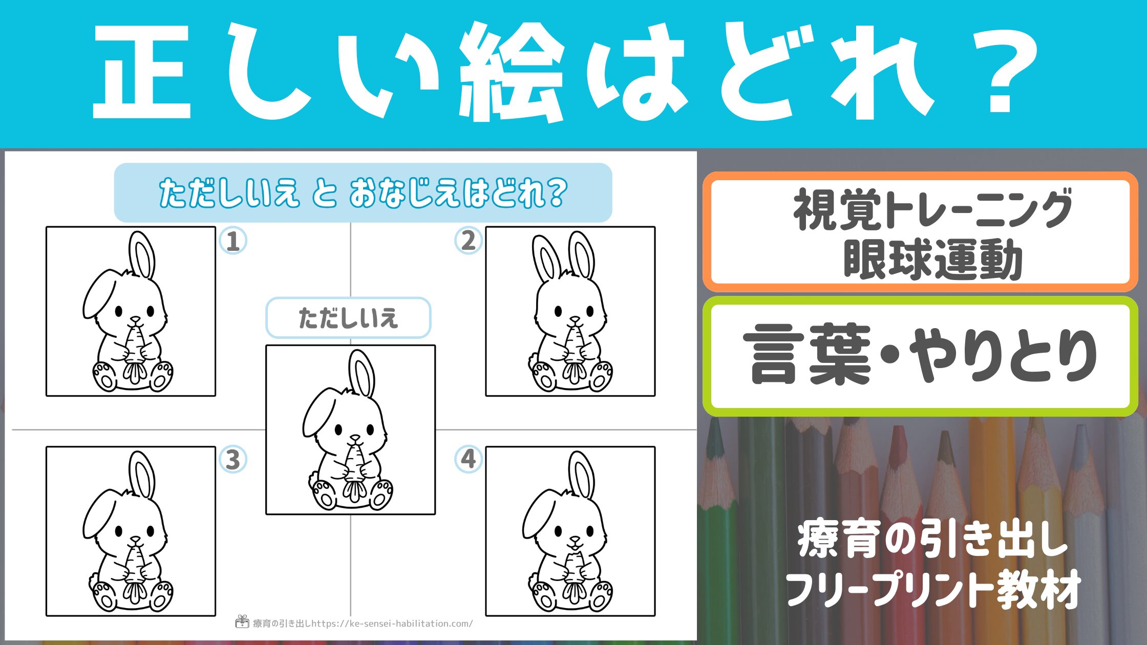 【ビジョントレーニング・言葉】 正しい絵はどれ？