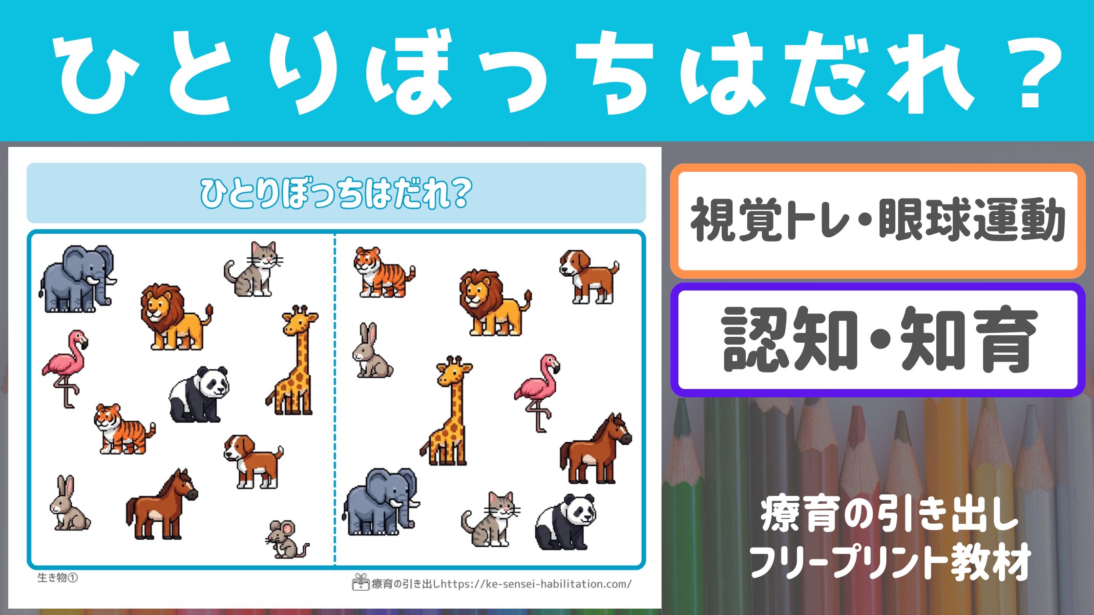 【ビジョントレーニング】 ひとりぼっちはだれ？ 生き物