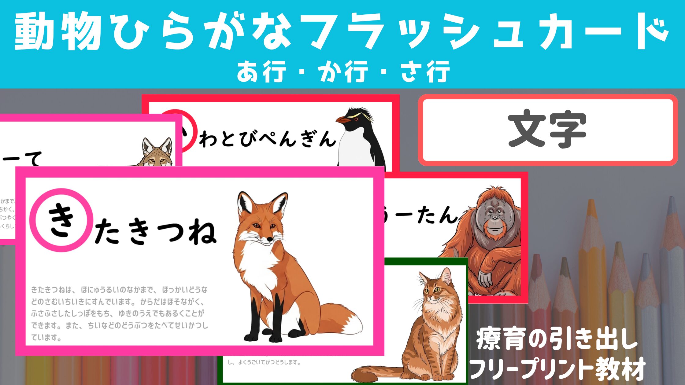 【あ・か・さ行】 動物ひらがなフラッシュカード　 ［文字・国語］