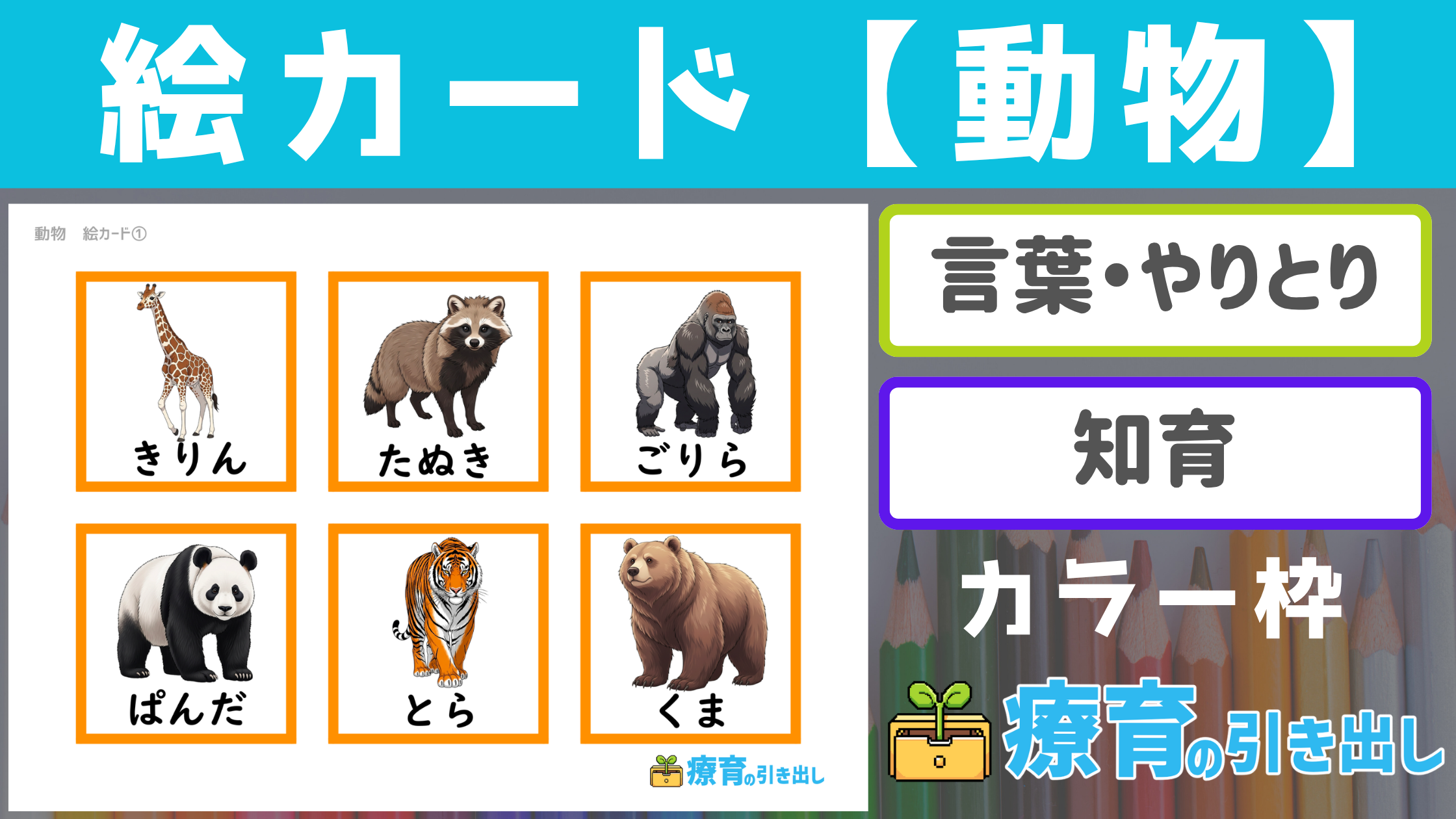 【絵カード】 どうぶつ絵カード　［言葉・やりとり］ 療育に最適な王道動物絵カード！