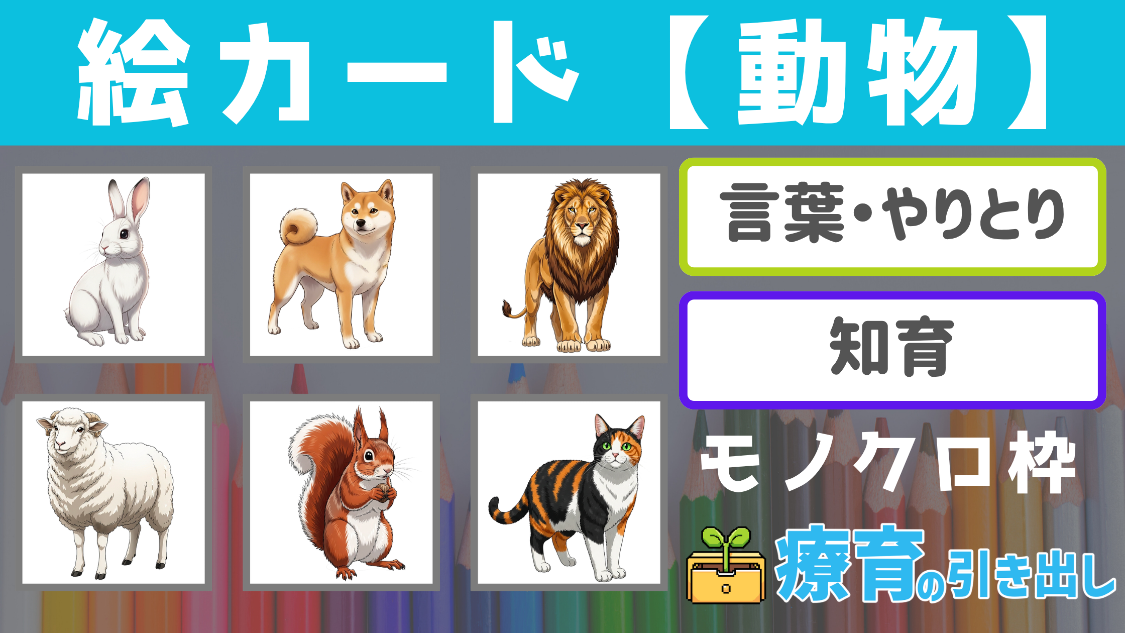 【絵カード】 どうぶつ絵カード モノクロ枠　［言葉・知育］ 療育に最適な王道動物絵カード！