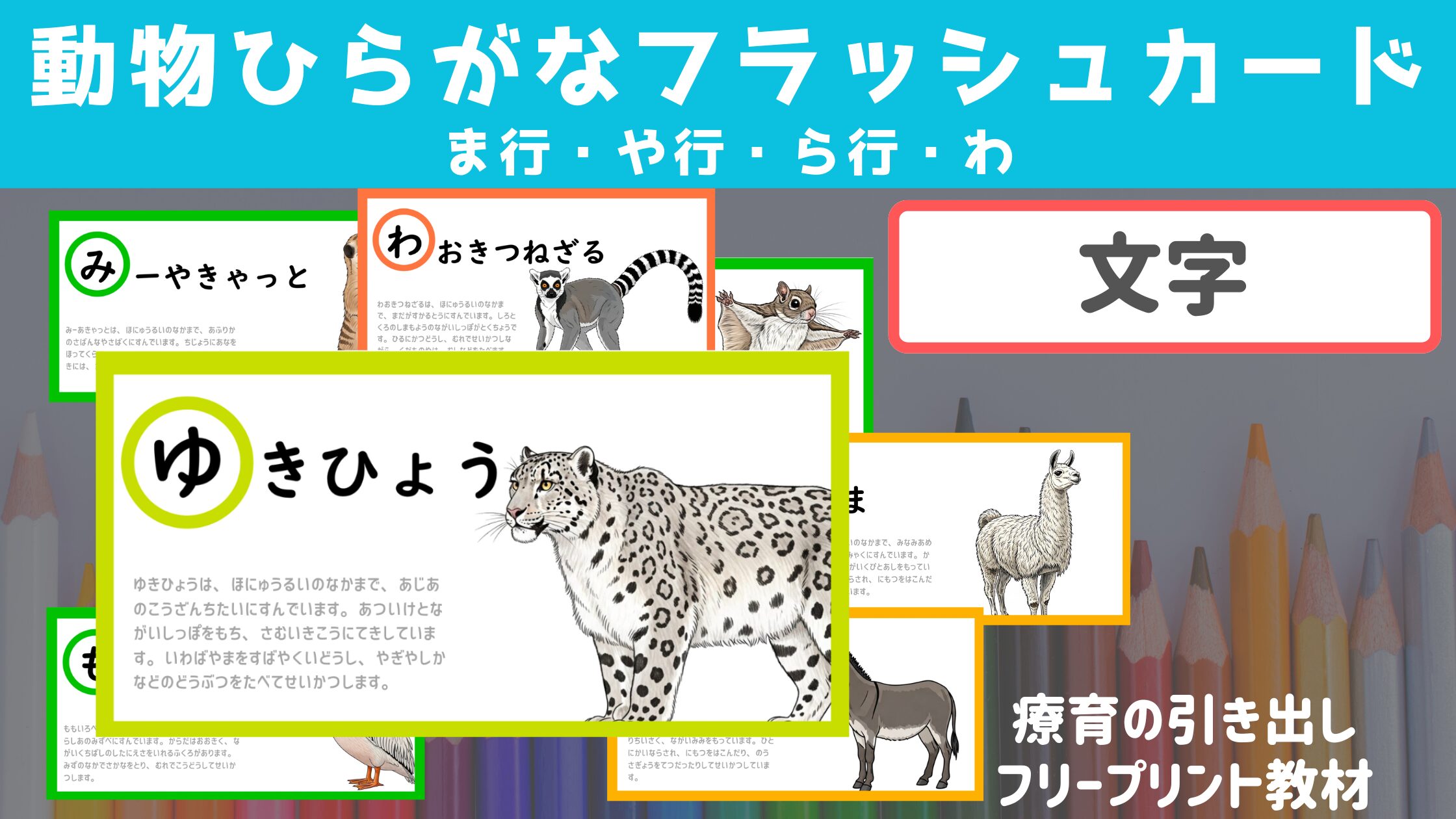 【ま・や・ら行わ】 動物ひらがなフラッシュカード　 ［文字・国語］