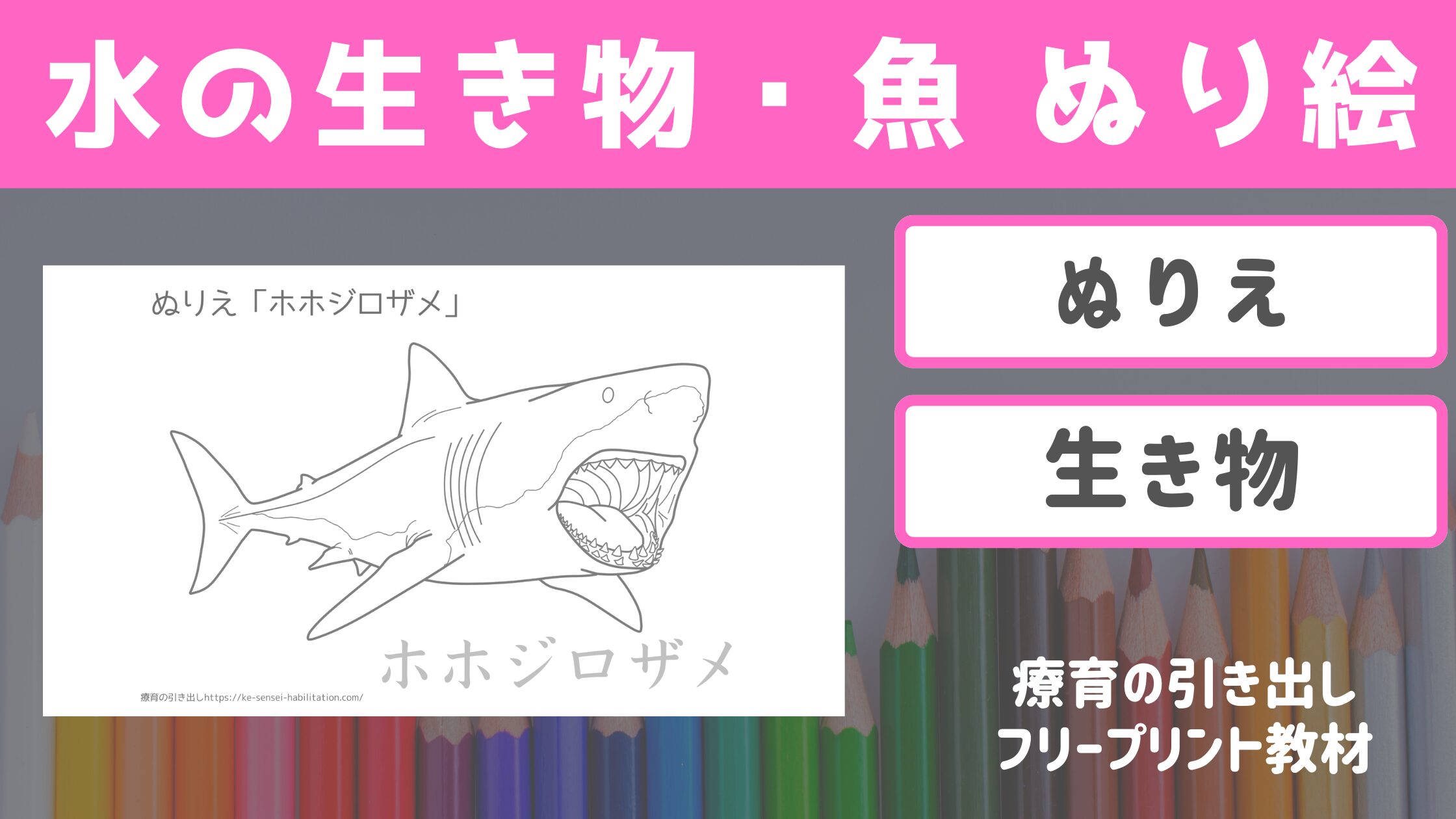 【ぬりえ】　生き物ぬりえ　【水の動物・魚】