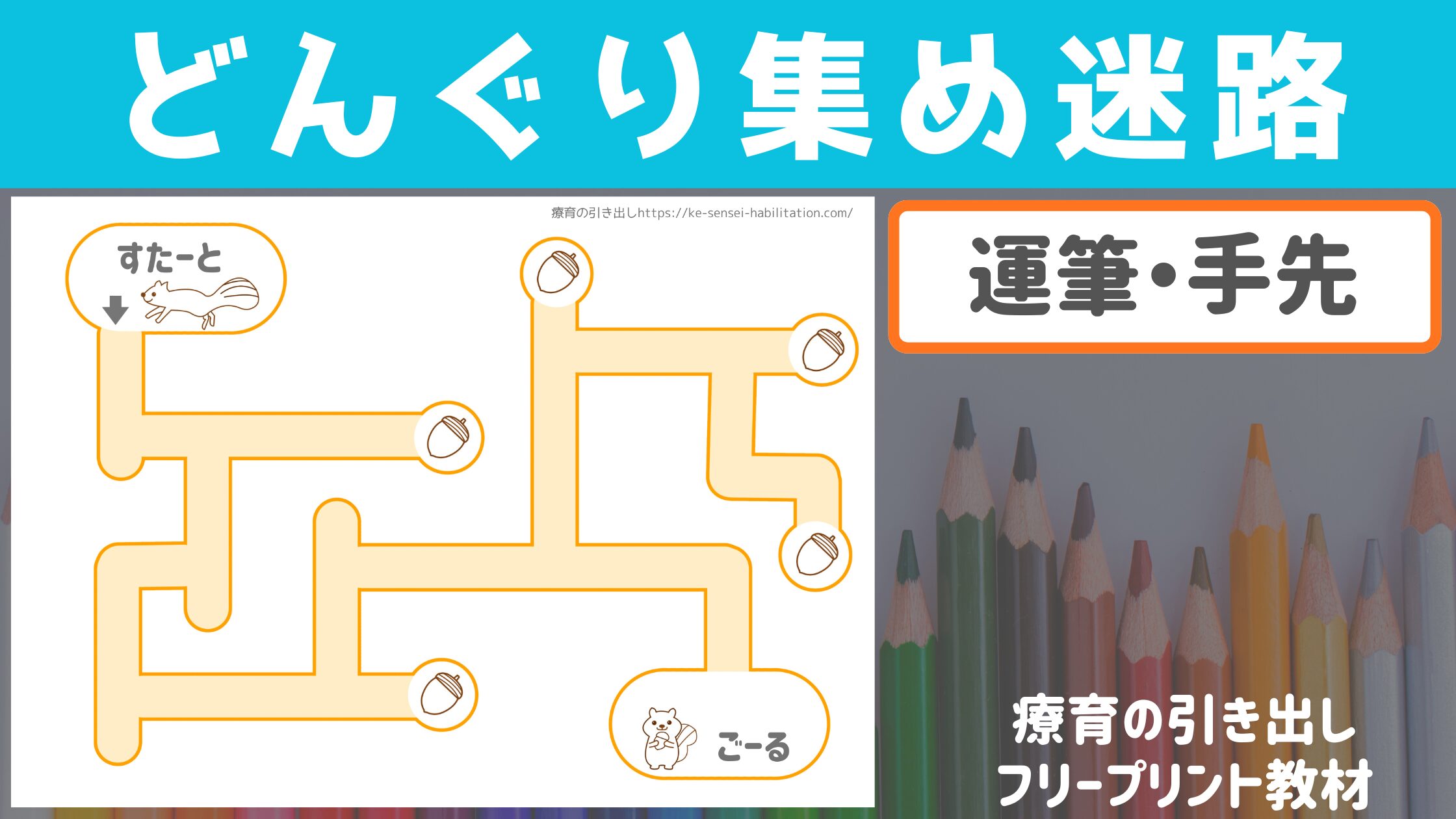 【運筆・迷路】　どんぐり集めて迷路　［手先・迷路］