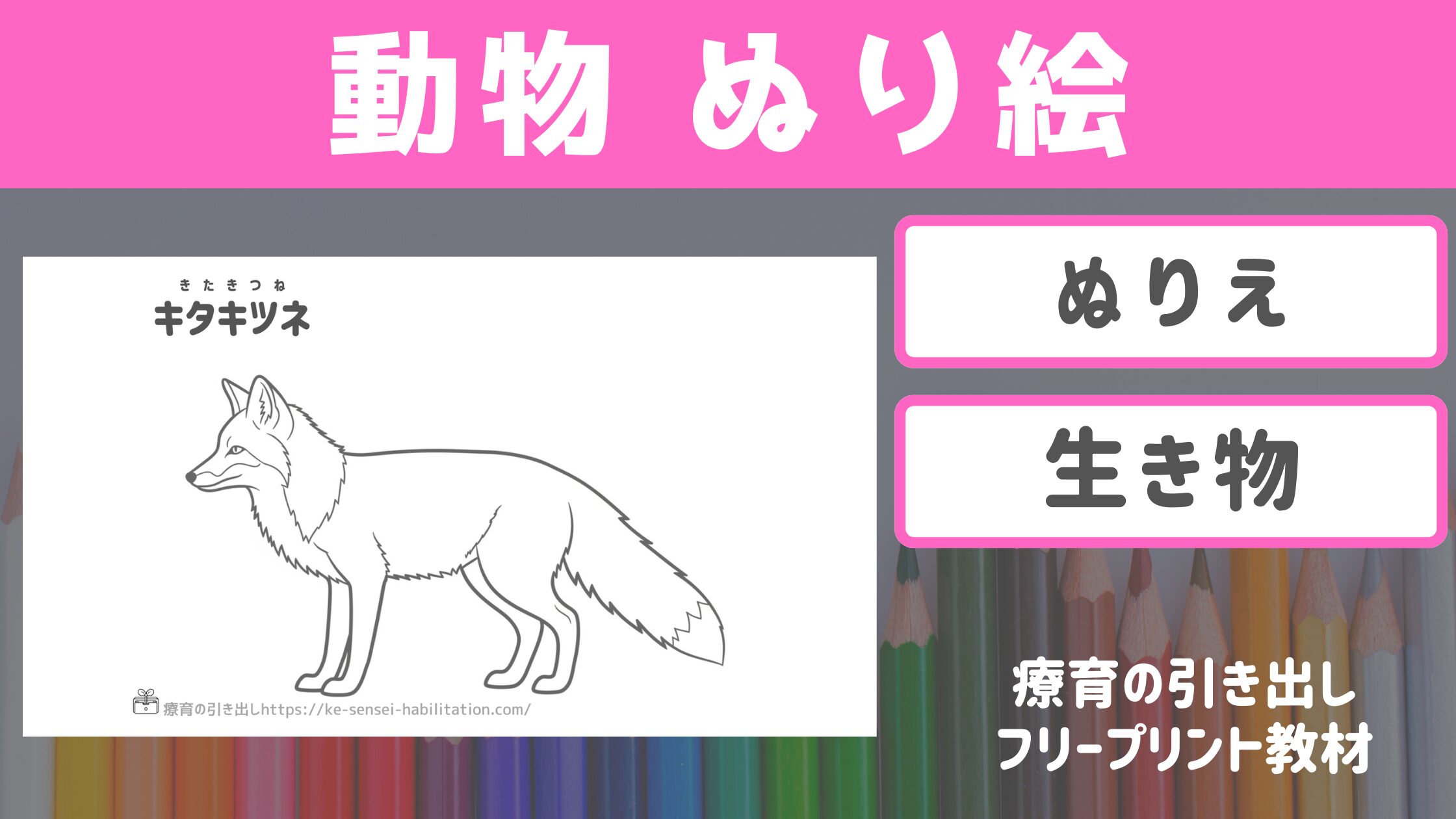 【ぬりえ】　生き物ぬりえ　【動物・哺乳類】