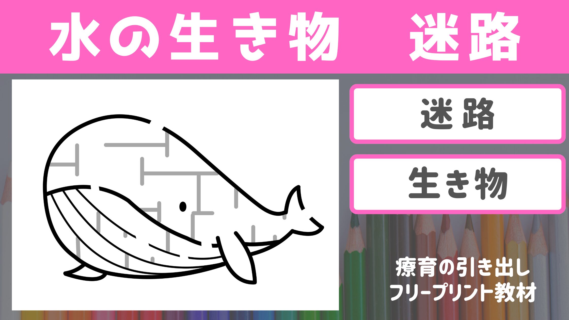 【迷路】　水の生き物　の迷路　［迷路・運筆・認知］