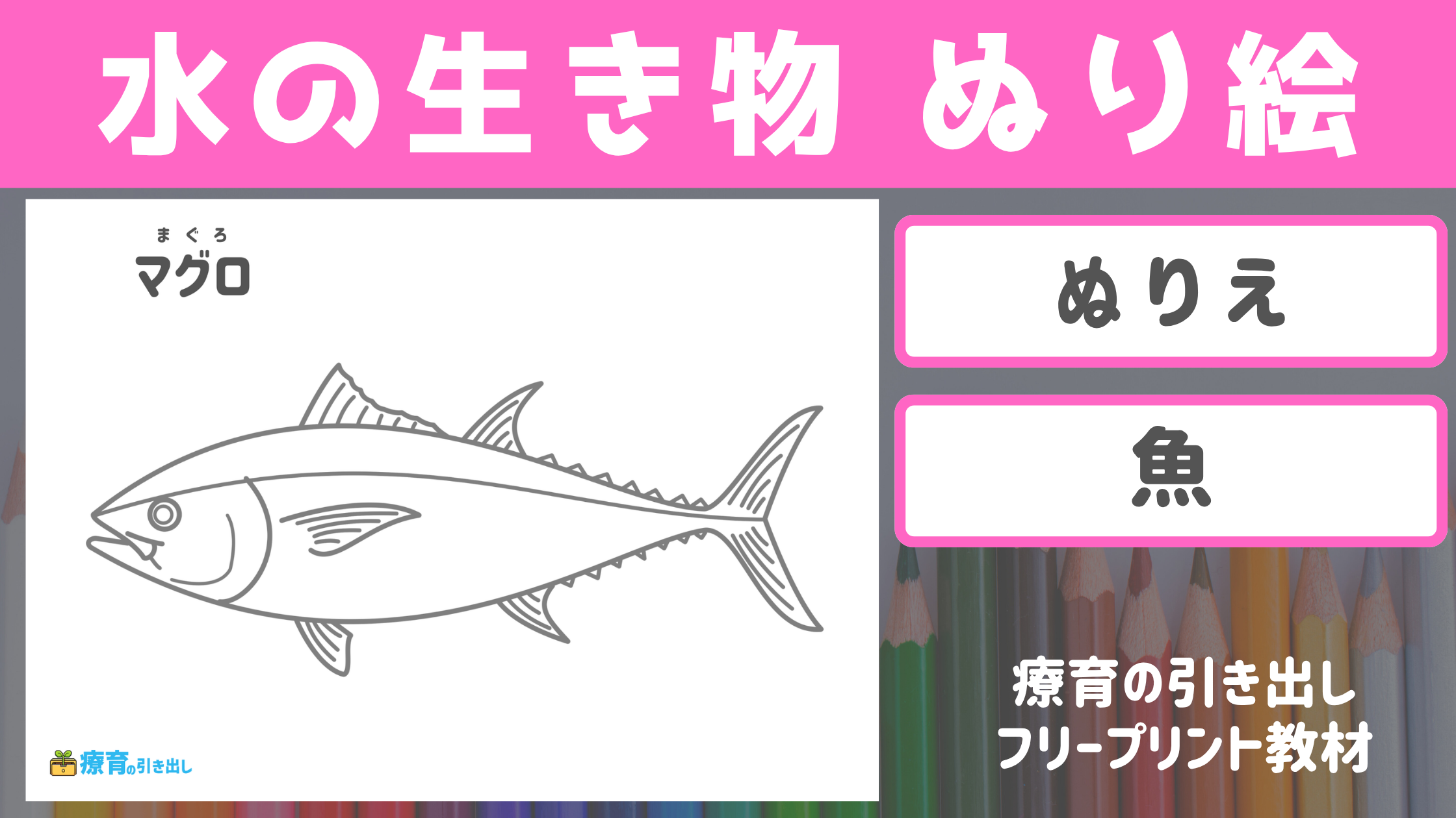 【ぬりえ】　生き物ぬりえ　【水の動物・魚】