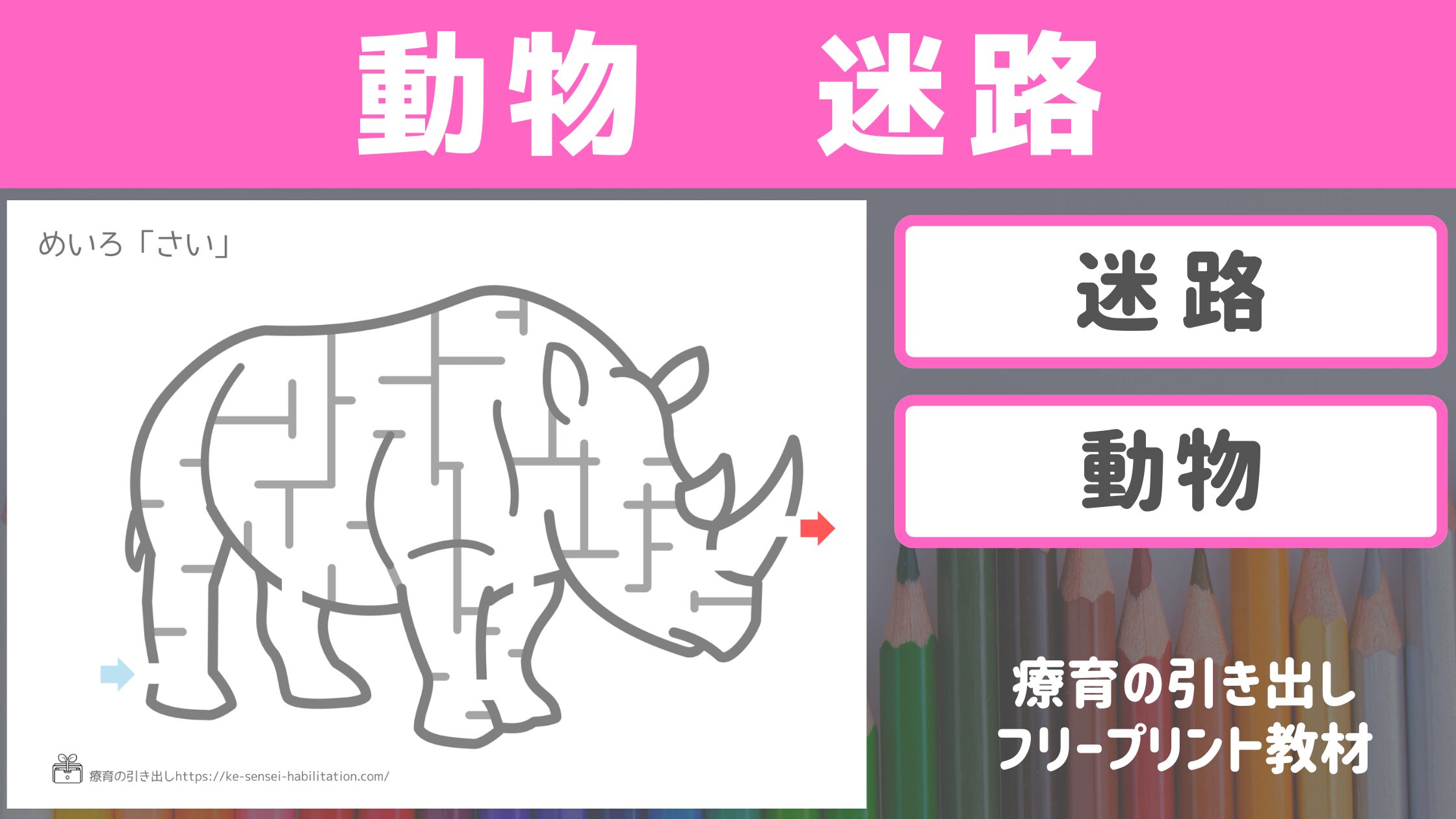【迷路】　生き物や動物の迷路　［運筆・知育・視覚トレ］