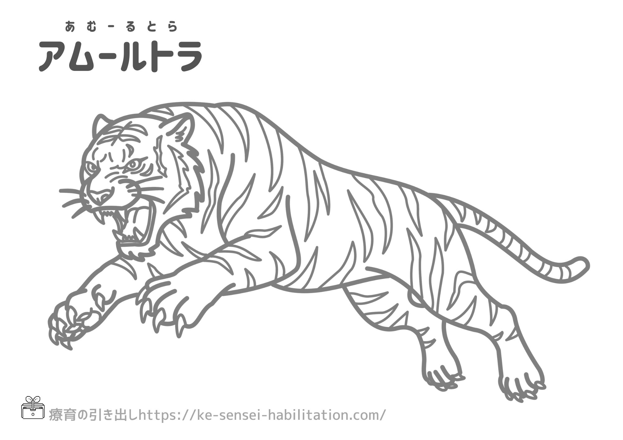 生き物ぬりえ　動物　アムールトラ