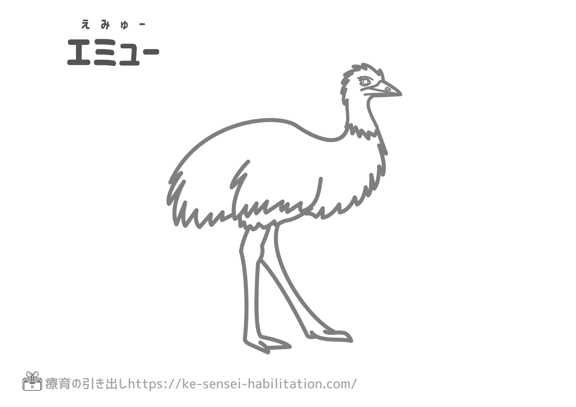 生き物ぬりえ　鳥系　エミュー