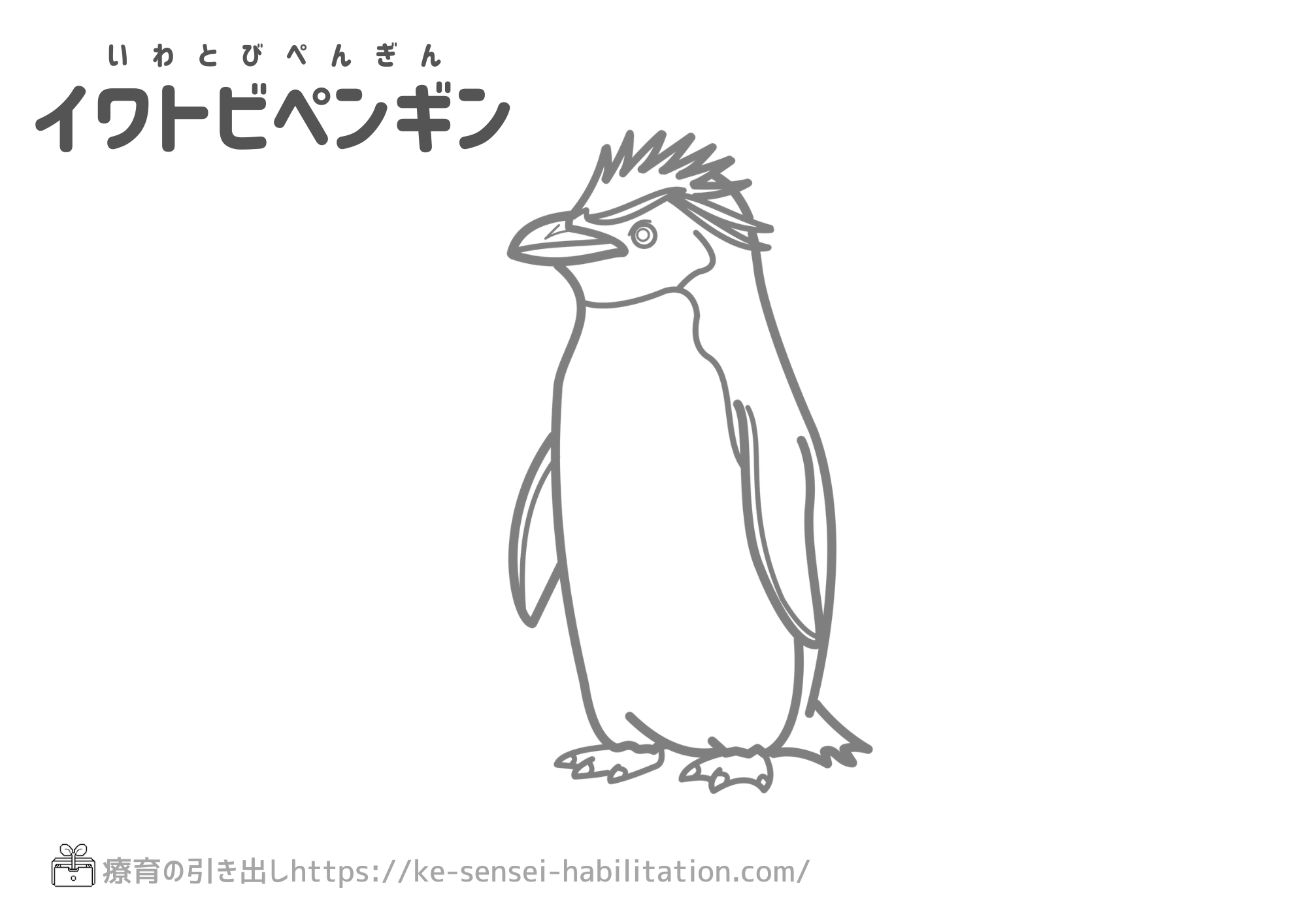 生き物ぬりえ　鳥系　イワトビペンギン