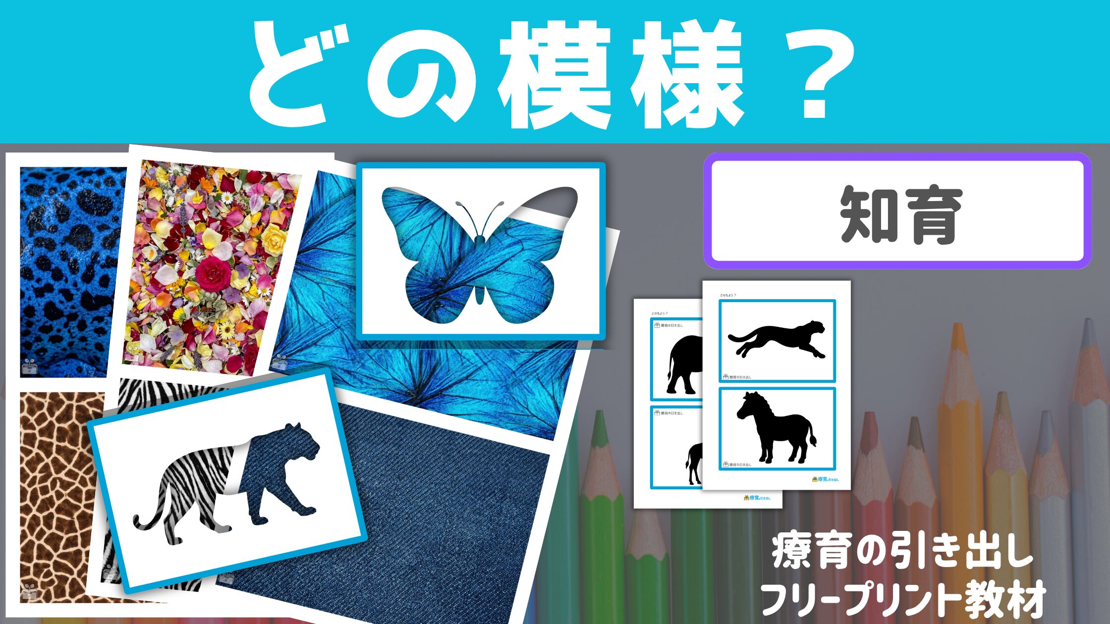 【知育・色彩】 どの模様？ ［知育活動・認知機能］ 好きな模様を見つけてみよう