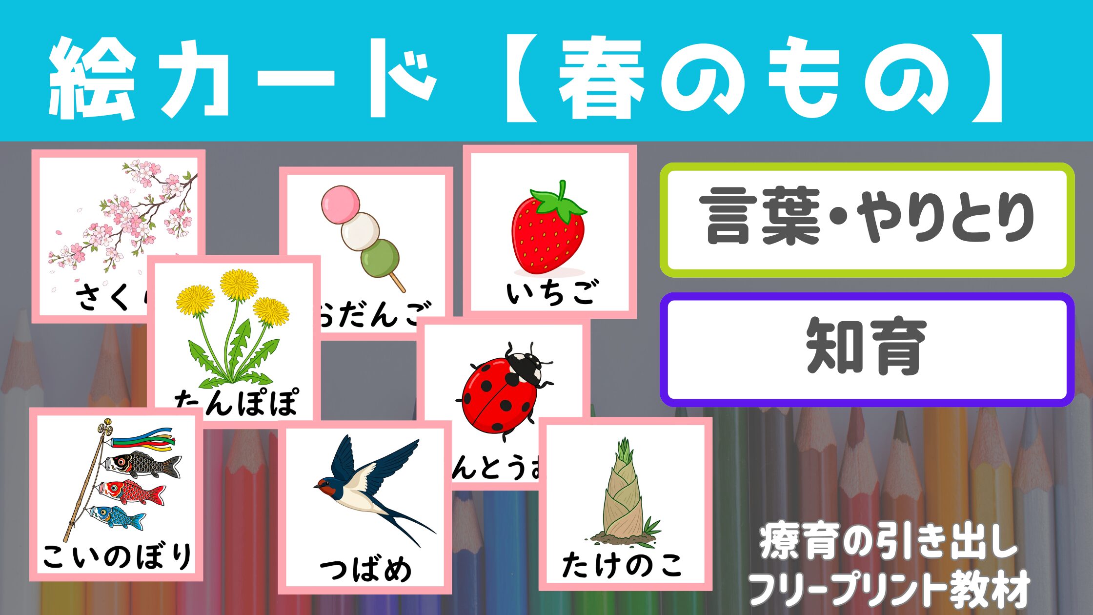 【絵カード】 春のもの絵カード ［言葉・やりとり］ 春のものに関する語彙を確認！