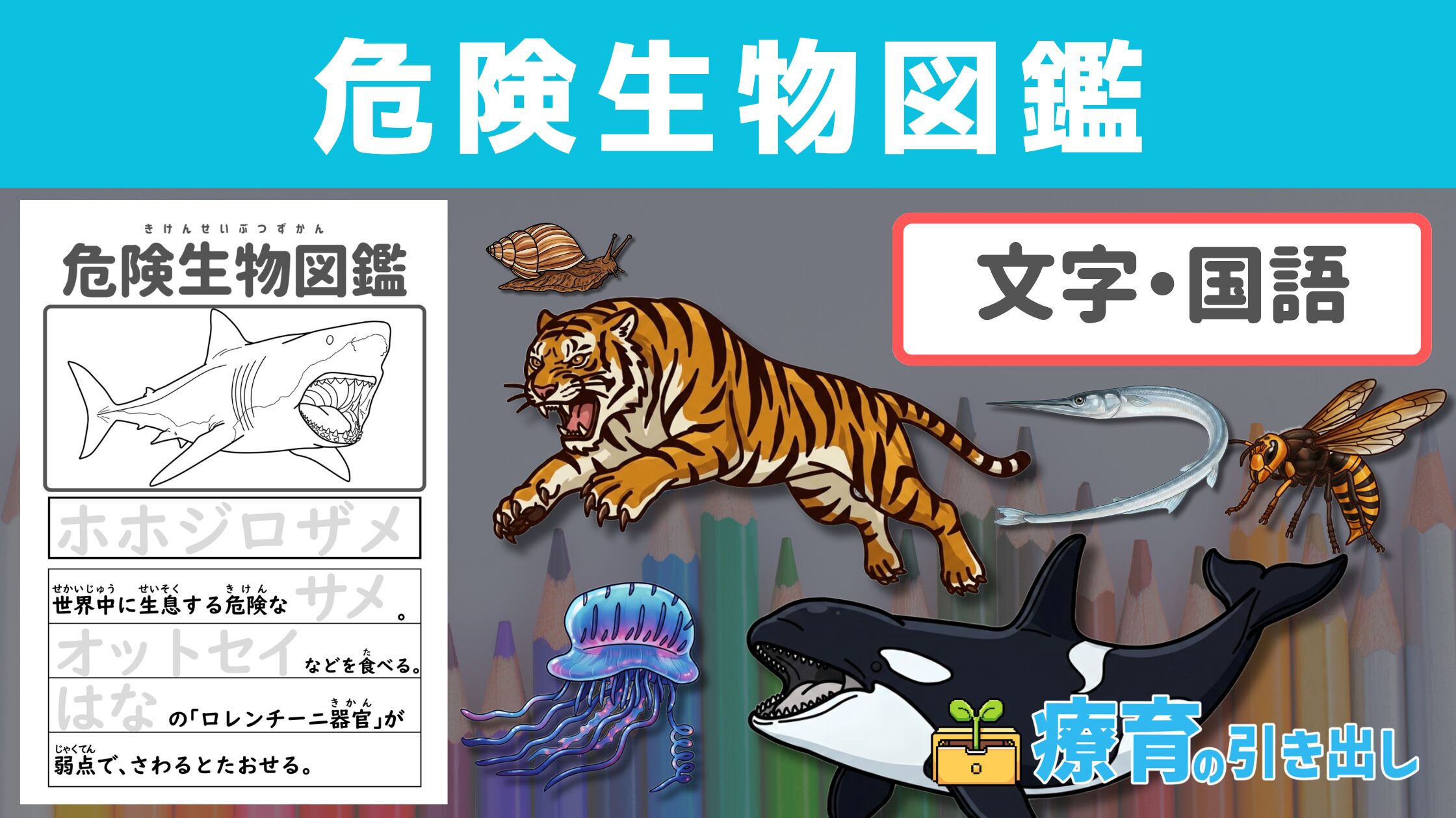 【危険生物図鑑】 シリーズ一覧 ［文字・国語］ ひらがな・カタカナ文字の練習や文章の練習に最適な教材！