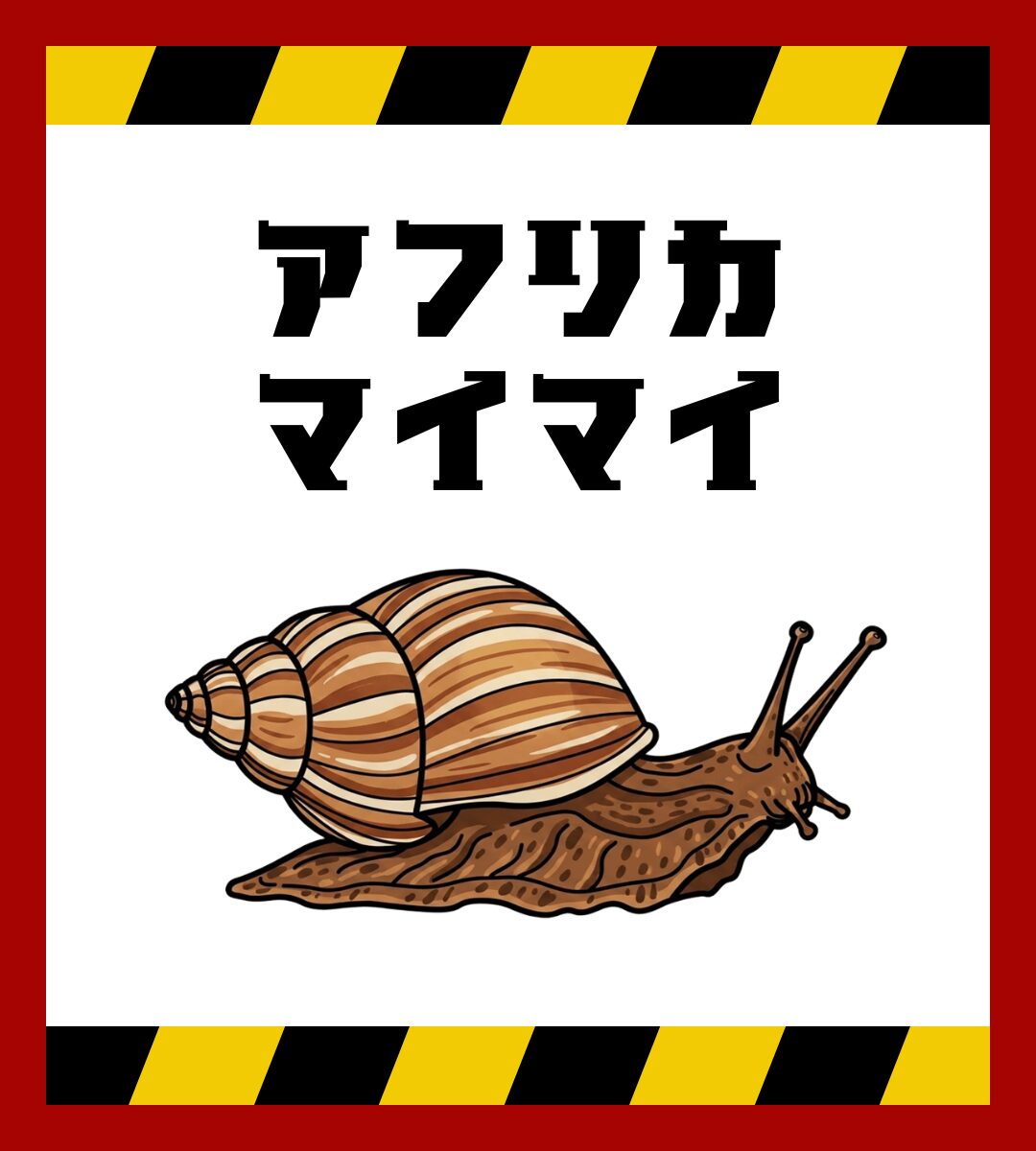 危険生物図鑑　アフリカマイマイ