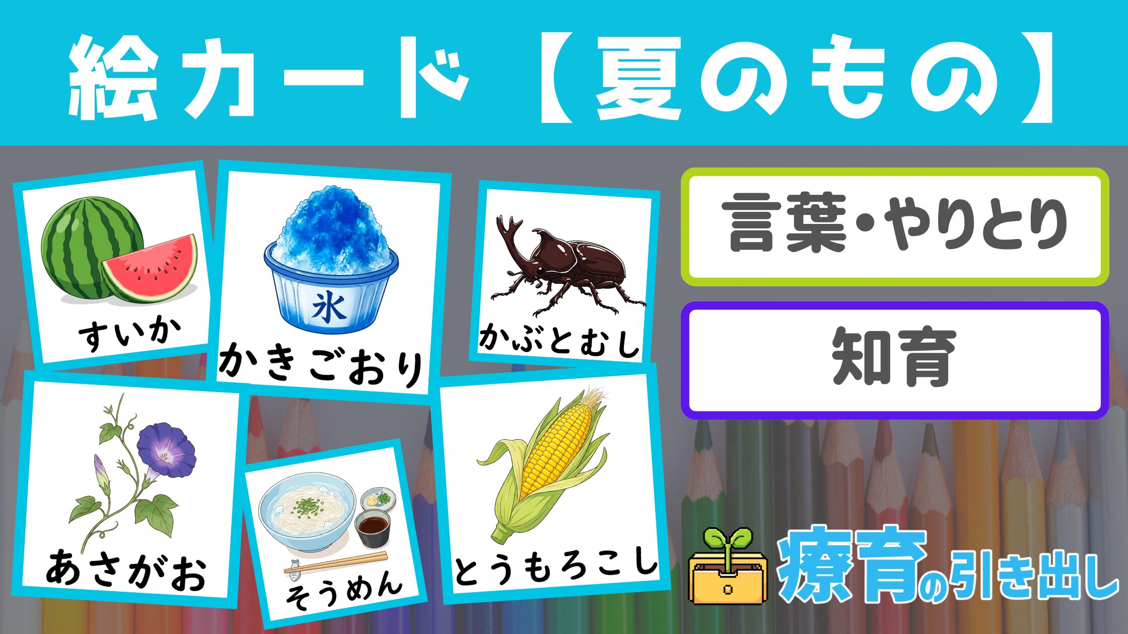 【季節】 夏のもの絵カード ［言葉・知育］ 夏のものに関する汎用絵カード！