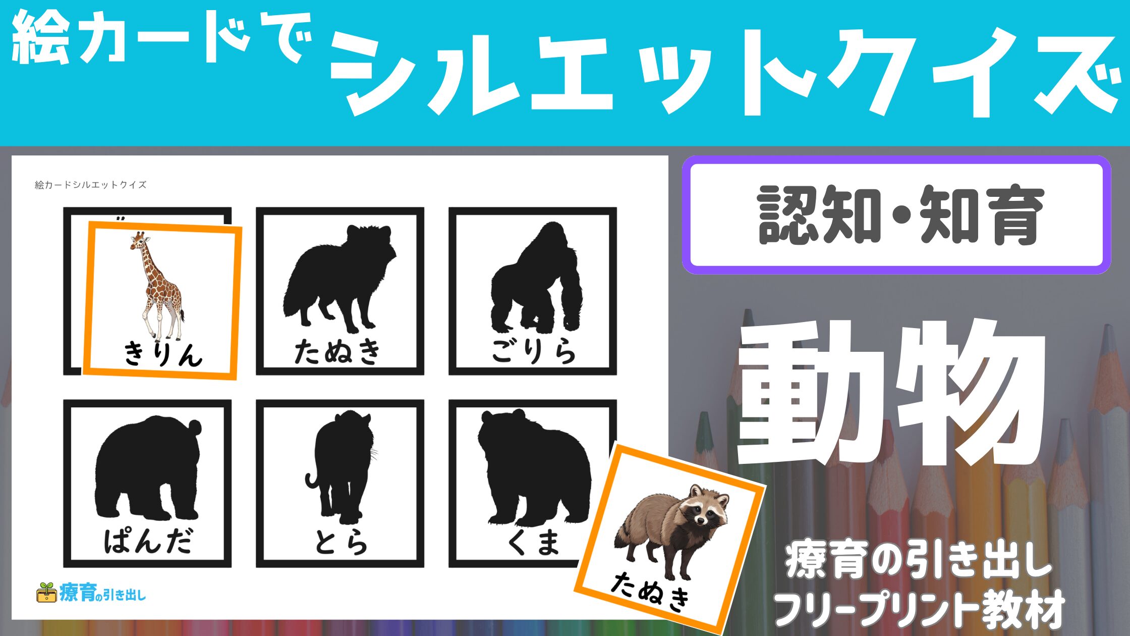 【知育】 絵カードでシルエットクイズ 動物　絵カードと合わせて言葉の確認もできる！