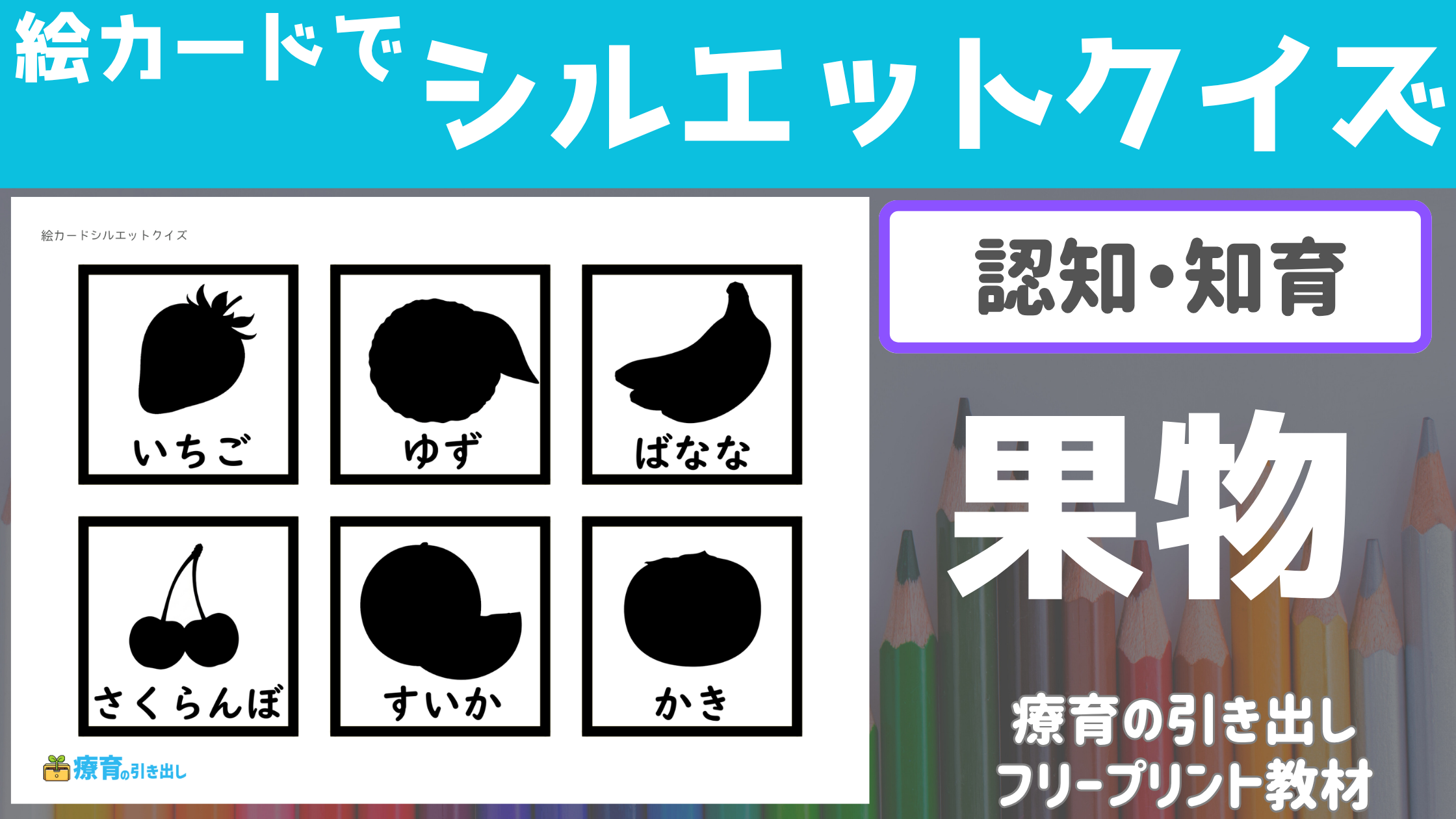 【知育】 絵カードでシルエットクイズ 果物 ［認知・知育］ ピッタリサイズシルエットクイズ！