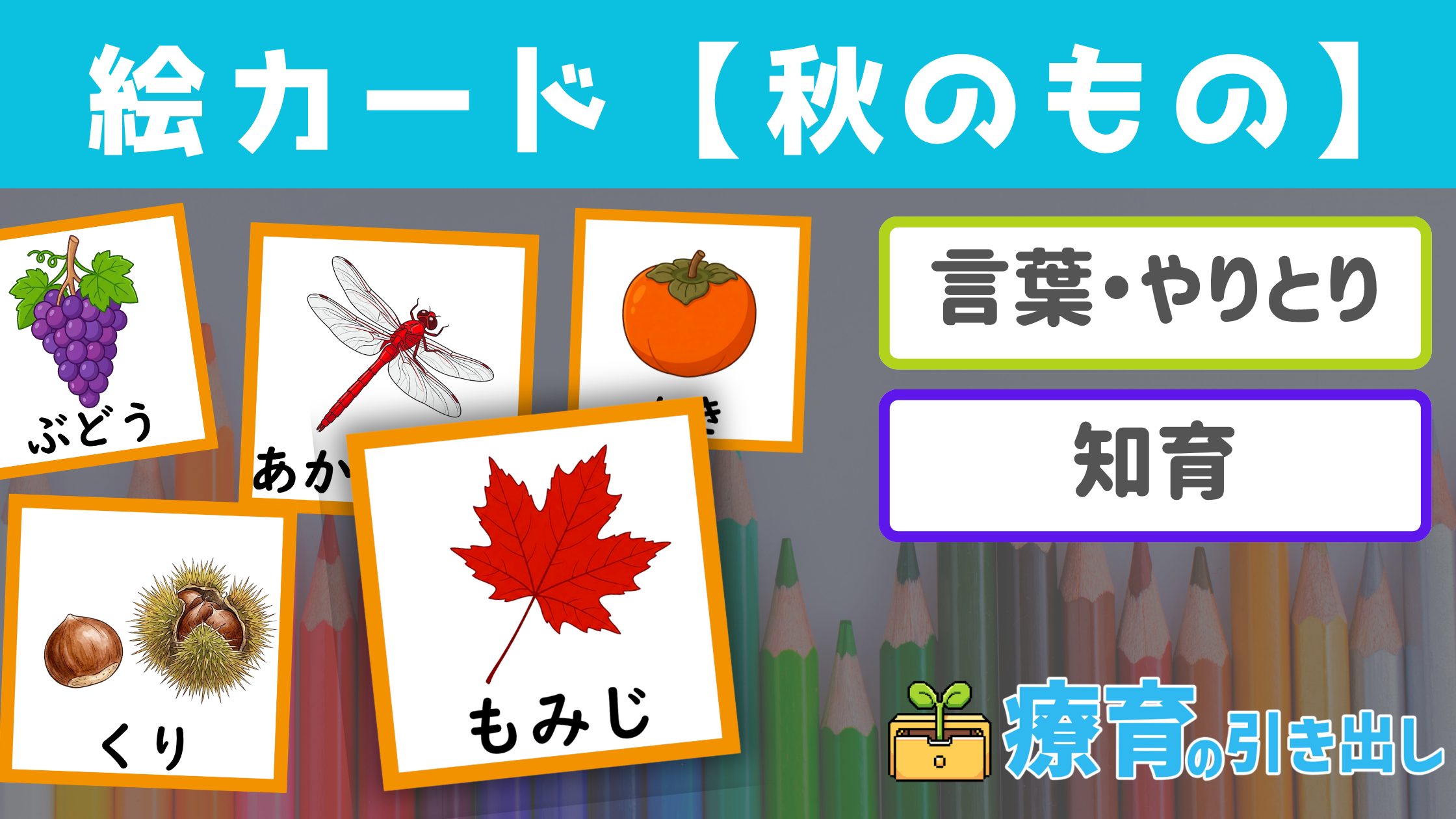 【季節】 秋のもの絵カード ［言葉・知育］ 秋のものに関する汎用絵カード！